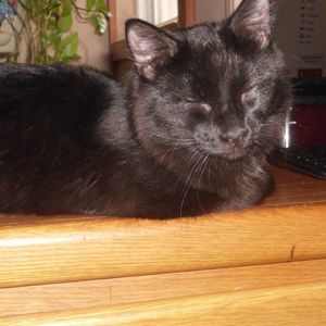 Meet your Posher, Deb